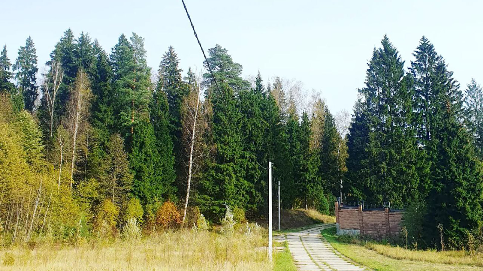 Прилесной участок д.Ивановка