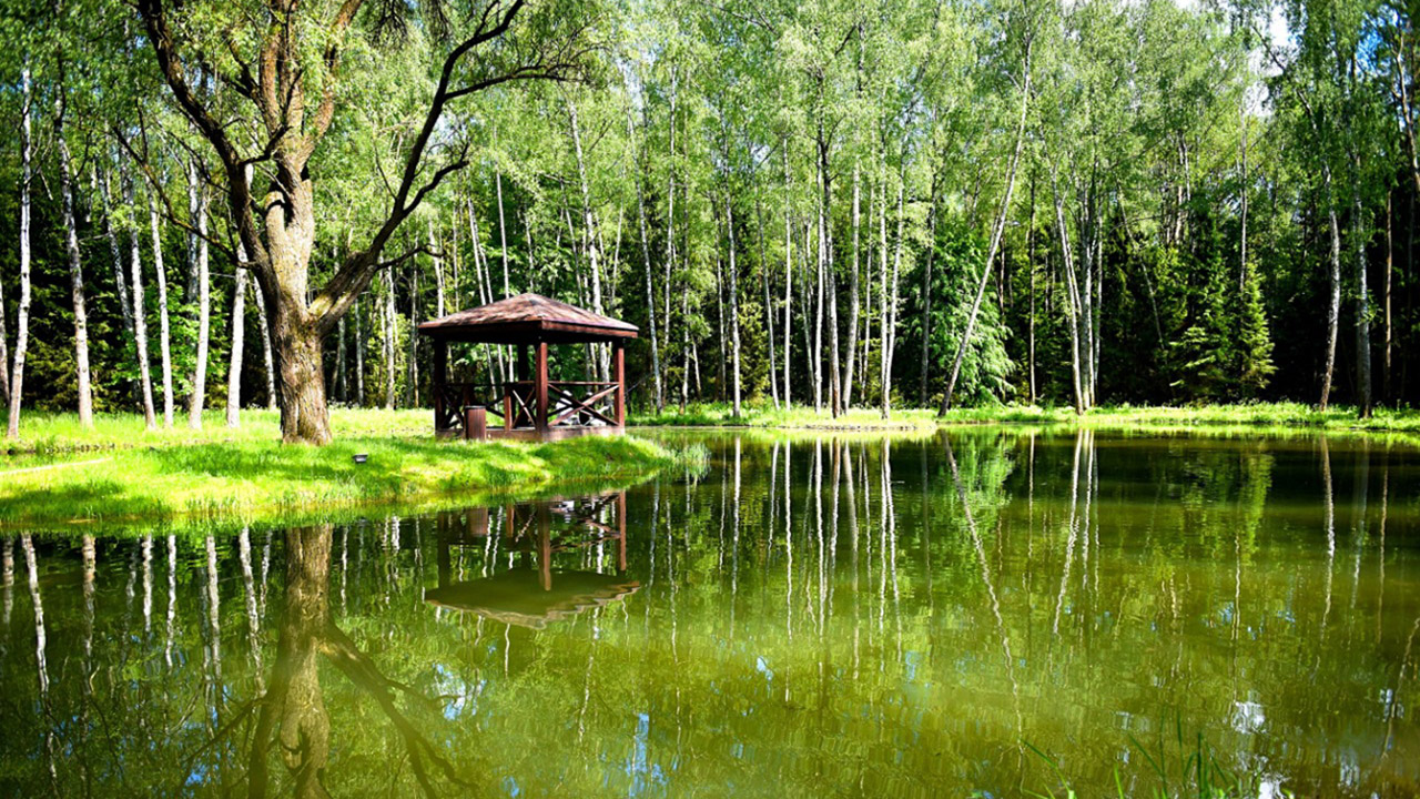 КП Green Wood